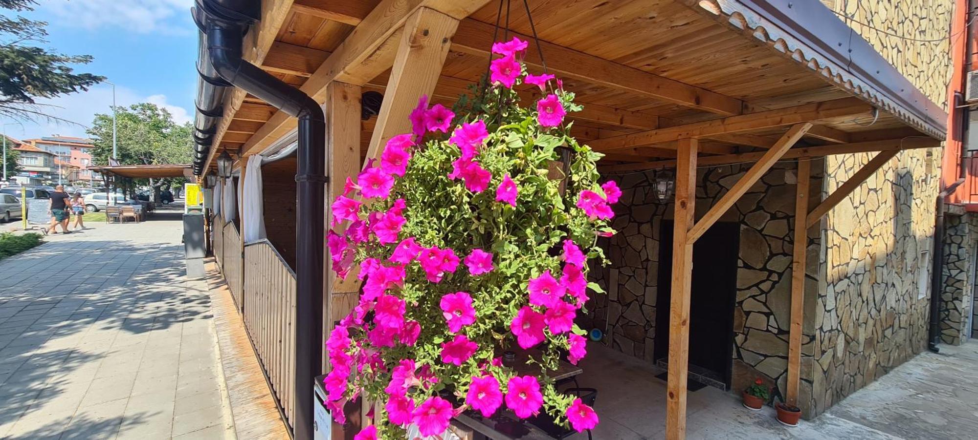 Sineva Guest House Равда Екстериор снимка