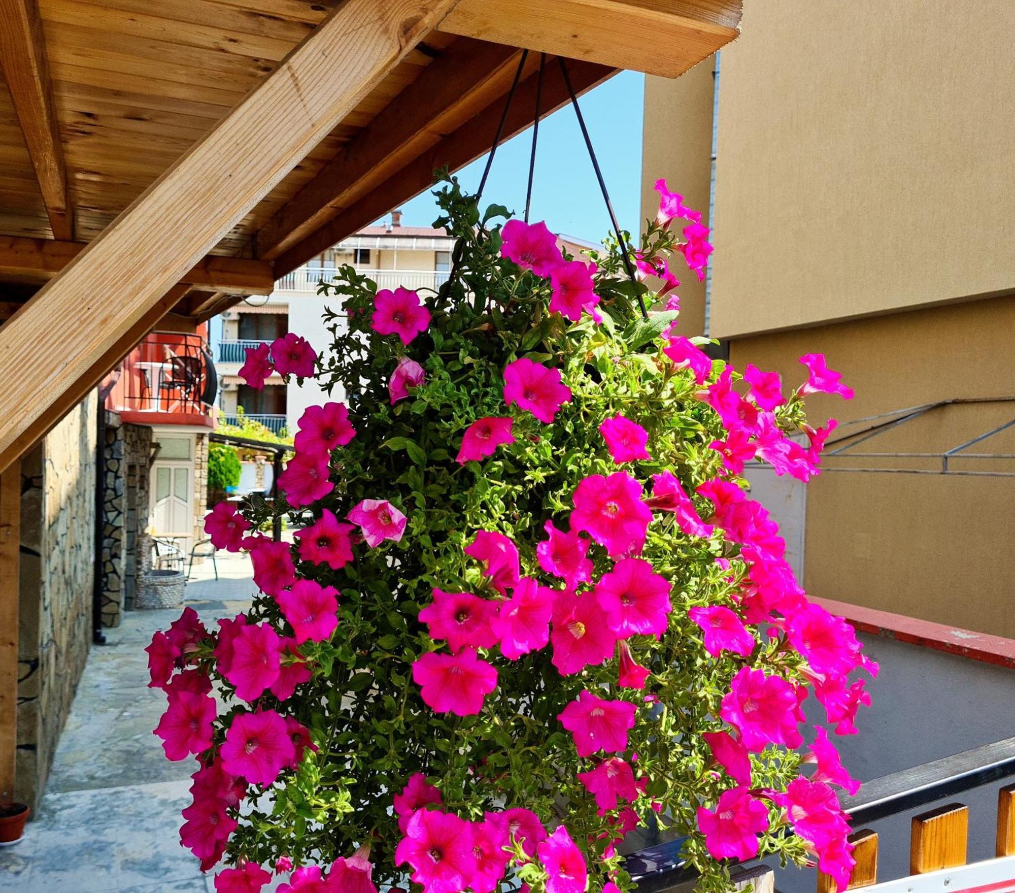 Sineva Guest House Равда Екстериор снимка